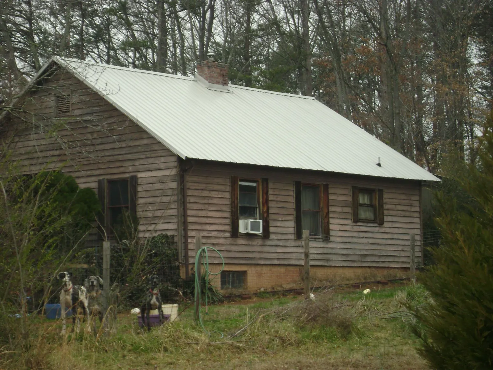 White metal roof on an old wood sided farmhouse, from a Metal Roof Installation job in Humboldt